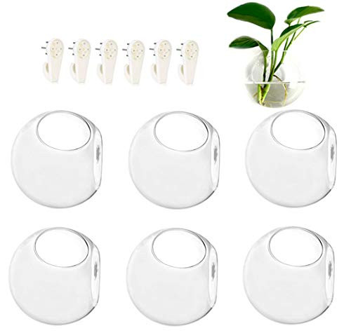 GEOLUX 6-Pack Wall Hanging Planters Glass Terrariums - Round Air Plants Wall Containers Succulents Globe Orbs (4.7 x 4.7 Inches)