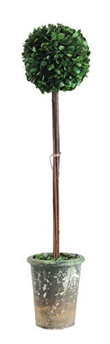 Creative Co-op Boxwood Topiary in Clay Pot