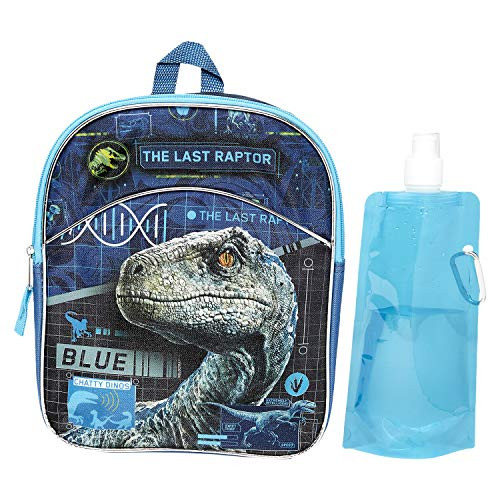 Jurassic World Backpack Combo Set - Jurassic World Boys 3 Piece Backpack Set - Backpack, Water Bottle and Carabina (Jurassic Mini)