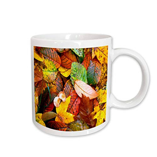 3dRose Fall Leaves Mug, 11-Ounce