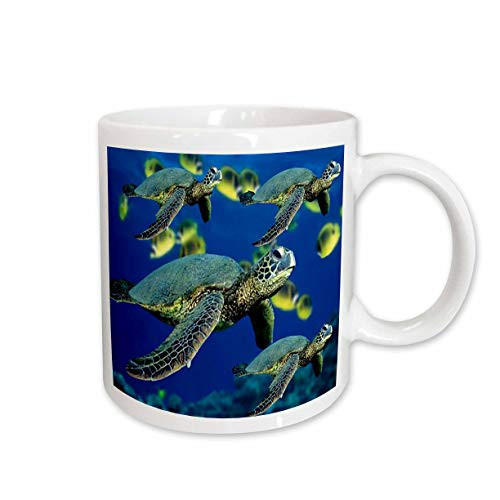 3dRose Sea Turtles Ceramic Mug, 11-Ounce