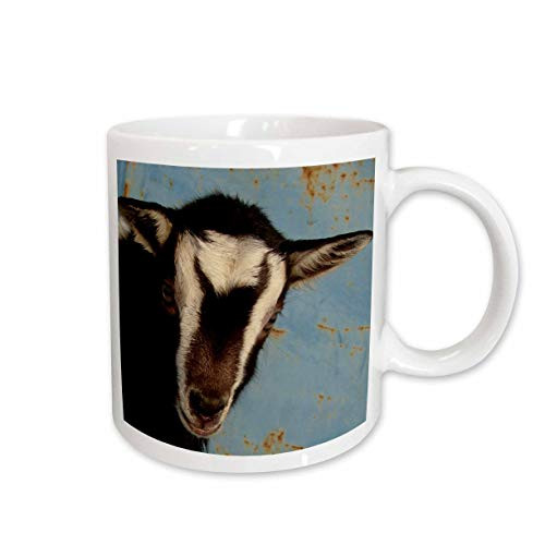 3dRose Moo The Goat Kid by Angelandspot Ceramic Mug, 15-Ounce