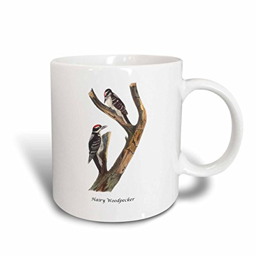 3dRose Hairy Woodpecker by John James Audubon Ceramic Mug, 11-Ounce