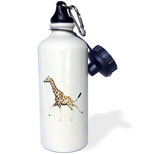 3dRose wb_63052_1 Bug Pattern Sports Water Bottle, 21 oz, Brown