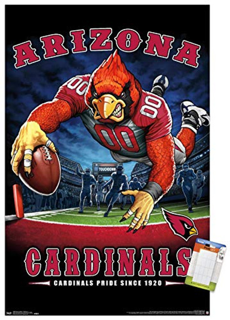 Trends International Poster Mount NFL Arizona Cardinals - End Zone, 22.375" x 34", Premium Poster & Mount Bundle
