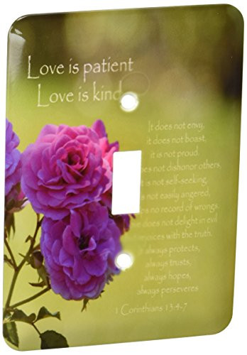 3dRose lsp_110502_1 Pretty Pink Roses Love Is Patient Bible Verse Inspirational Single Toggle Switch