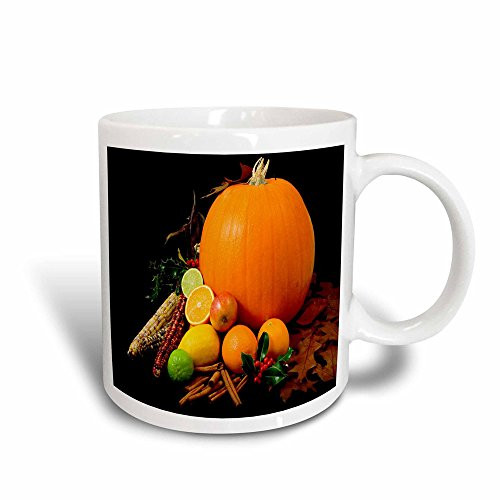 3dRose Thanksgiving Celebration Magic Transforming Mug, 11-Ounce