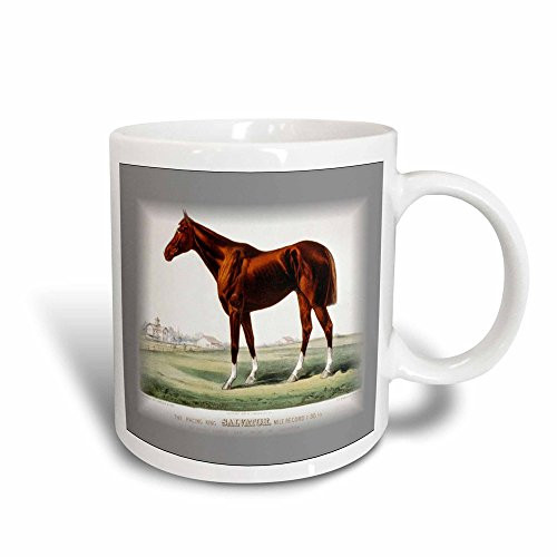 3dRose Beautiful Brown Race Horse in Field Magic Transforming Mug, 11-Ounce