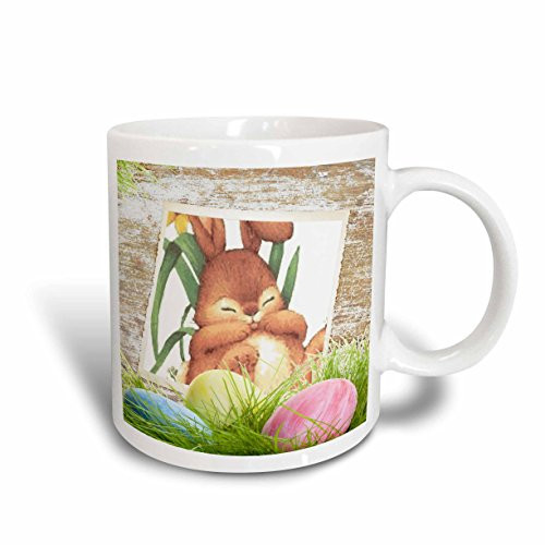 3dRose mug_14885_1 Honey Bunny Ceramic Mug, 11-Ounce