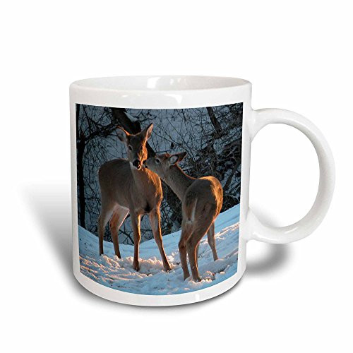 3dRose mug_11527_3 Stealing a Kiss, Deer Kissing Magic Transforming Mug, 11-Ounce