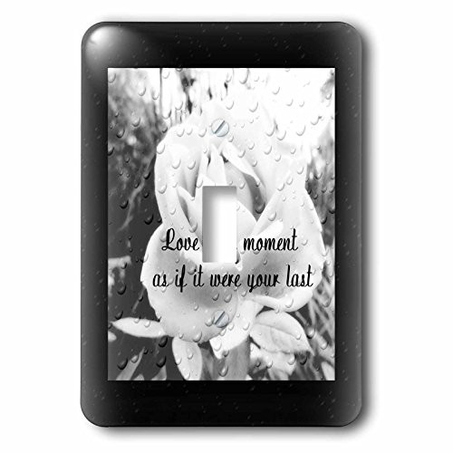 3dRose lsp_165319_1 a Black and White Photo of a Rose with an Inspirational Thought Light Switch Cover