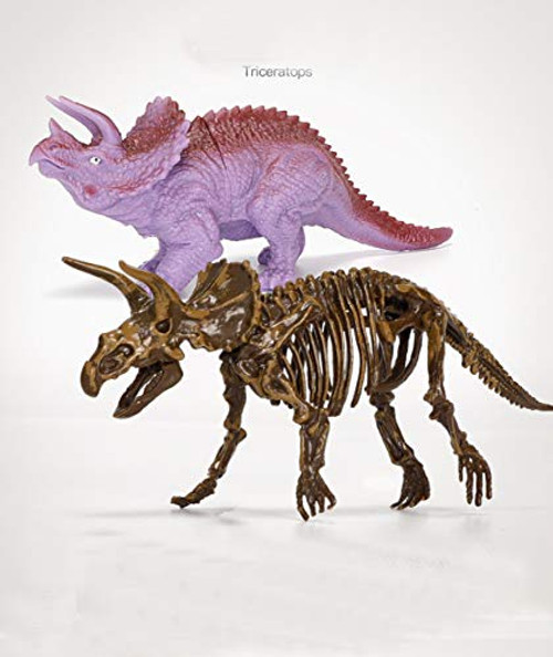 Izett CK Dinosaur Skeleton 3D Dino Fossil Bones Excavation Science Kit (Triceratops)