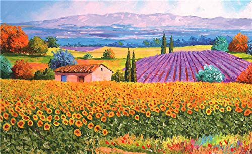 Jigsaw Puzzles for Adults 500 Piece Great View Puzzle Rural France Games Toys and Gifts for Kids Family Partners Jigsaw Puzzles for Adults 500 Piece Great View Puzzle Rural France Games Toys and Gifts for Kids Family Partners