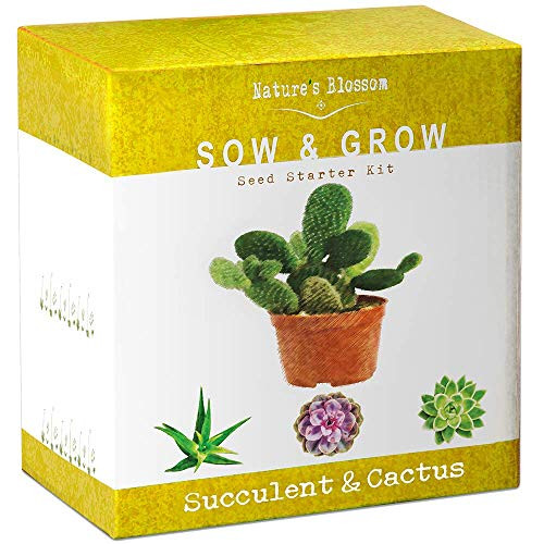 Nature's Blossom Succulent & Cactus Growing Kit. A Complete Set to Grow Succulents & Cacti Plants from Seed. Seeds, Pots, Soil, Labels & Gardening Guide Included. Indoor Garden Gift for Men & Women Nature's Blossom Succulent & Cactus Growing Kit. A Complete Set to Grow Succulents & Cacti Plants from Seed. Seeds, Pots, Soil, Labels & Gardening Guide Included. Indoor Garden Gift for Men & Women