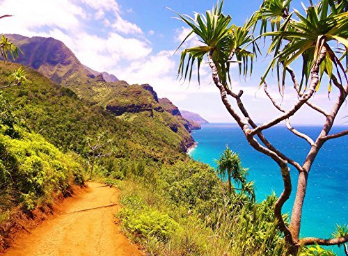 FKG Adult Jigsaw Puzzle Kauai Island Hawaii N?pali Coast State Wilderness Park 500-Pieces FKG Adult Jigsaw Puzzle Kauai Island Hawaii N?pali Coast State Wilderness Park 500-Pieces