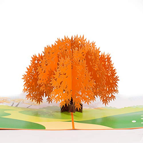 Japanese maple Pop Up Card (Orange Maple Tree), Tree Pop Up Card, Greeting Card, 3D Cards, Pop Up Birthday Card, Anniversary Pop Up Card, Thanksgiving Pop Up Cards, Pop Cards Mothers Day