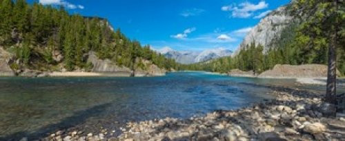 Posterazzi passing through a forest Bow River Banff National Park Alberta Canada Poster Print, (30 x 13) Posterazzi passing through a forest Bow River Banff National Park Alberta Canada Poster Print, (30 x 13)