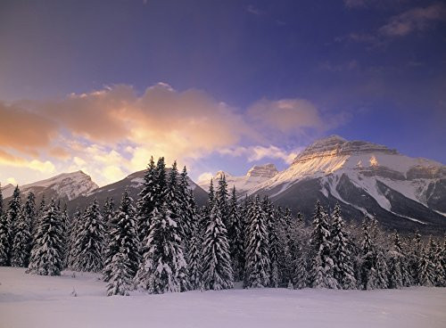 Posterazzi Bow Valley And The Massive Range Banff National Park Alberta Canada. Poster Print, (16 x 12) Posterazzi Bow Valley And The Massive Range Banff National Park Alberta Canada. Poster Print, (16 x 12)