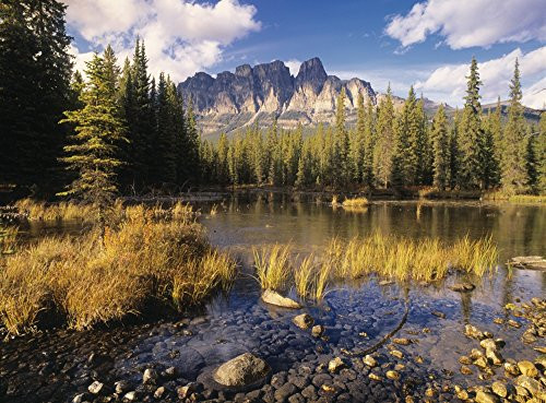 Posterazzi Bow River And Castle Mountain Banff National Park Alberta Canada. Poster Print, (16 x 12) Posterazzi Bow River And Castle Mountain Banff National Park Alberta Canada. Poster Print, (16 x 12)