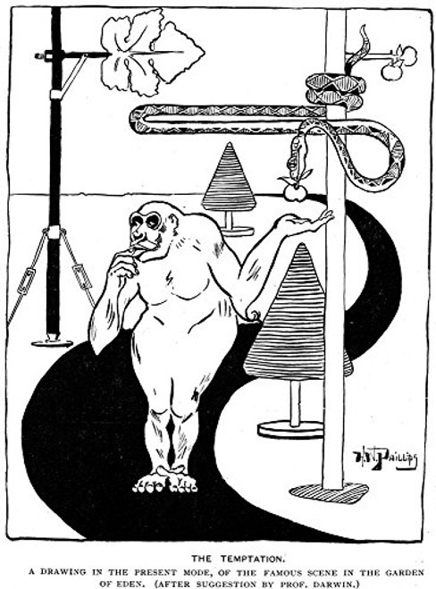 Charles Robert Darwin N(1809-1882) English Naturalist An 1897 American Cartoon Satirizing DarwinS Theory Of Evolution The Temptation A Drawing In The Present Mode Of The Famous Scene In The Garden Of Charles Robert Darwin N(1809-1882) English Naturalist An 1897 American Cartoon Satirizing DarwinS Theory Of Evolution The Temptation A Drawing In The Present Mode Of The Famous Scene In The Garden Of