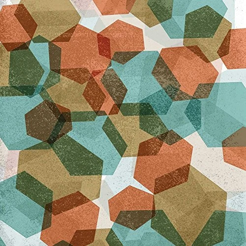 Posterazzi Collection Hexagon Composition I Poster Print by Edward Selkirk (24 x 24)