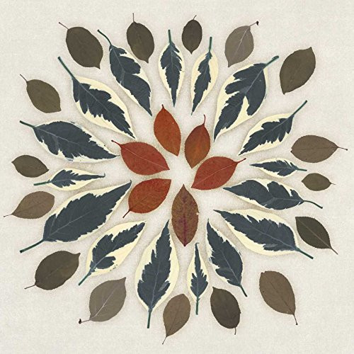 Posterazzi Collection Wreath I Poster Print by Edward Selkirk (12 x 12)