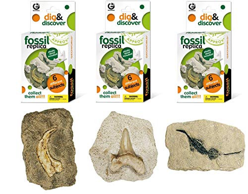 Geoworld Fossil Replica Dig and Discover Bundle (Set 1)