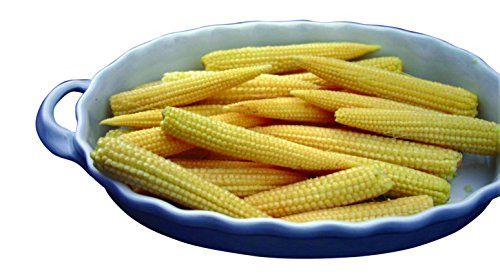 Burpee Bonus Baby Corn Sweet Corn Seeds 200 seeds