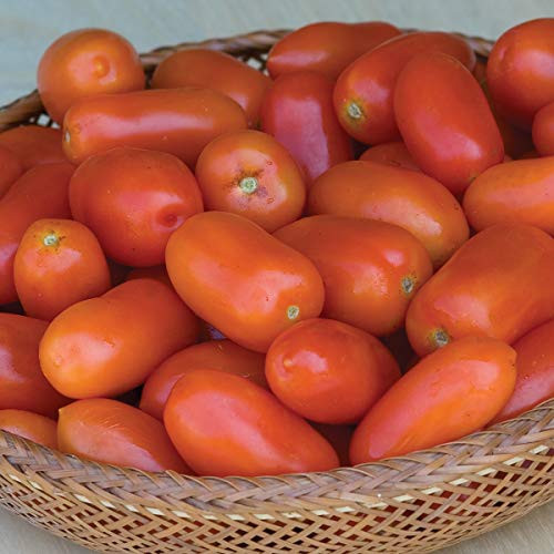 Burpee 'Juliet' Hybrid | Red Plum Tomato | 30 Seeds