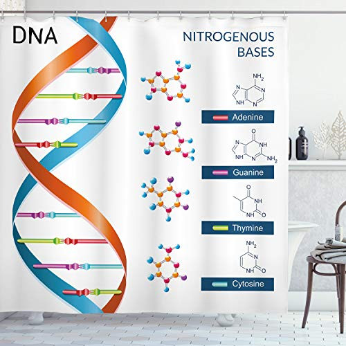 Ambesonne Educational Shower Curtain, DNA Bases Chemistry Biochemistry Biotechnology Science Spiral Genetic, Cloth Fabric Bathroom Decor Set with Hooks, 75" Long, White Blue