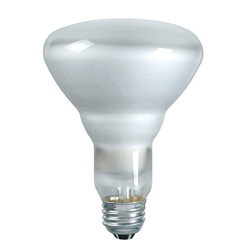 Philips Lighting Co Philips 223032 Duramax 45-watt Incandescent Br30 Flood Light Bulb 12-Pack, 4 Count