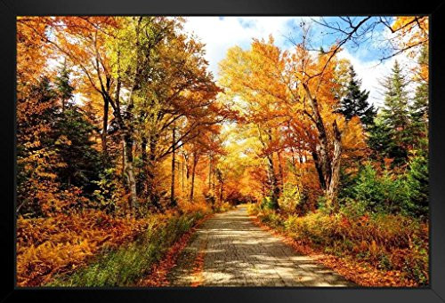 Autumn Road in New Hampshire Photo Art Print Black Wood Framed Poster 20x14