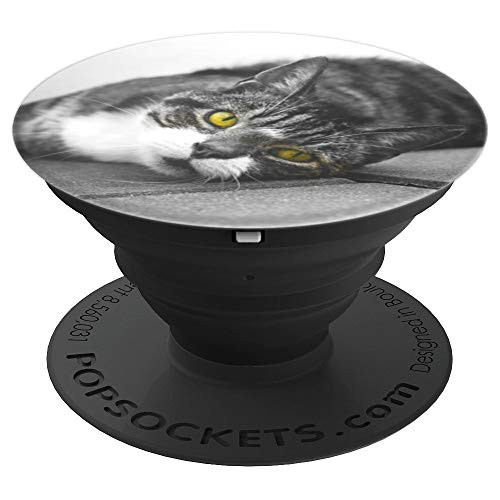 Cute Tabby Cat Green Eyes Black White Gift For Cat Lovers PopSockets Grip and Stand for Phones and Tablets