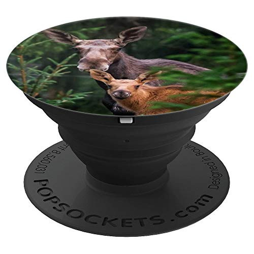 Moose Mama and Baby PopSockets Grip and Stand for Phones and Tablets