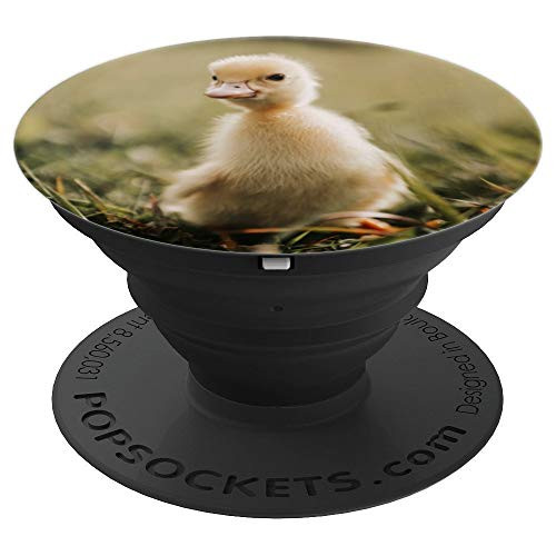 Fuzzy Duckling PopSockets Grip and Stand for Phones and Tablets