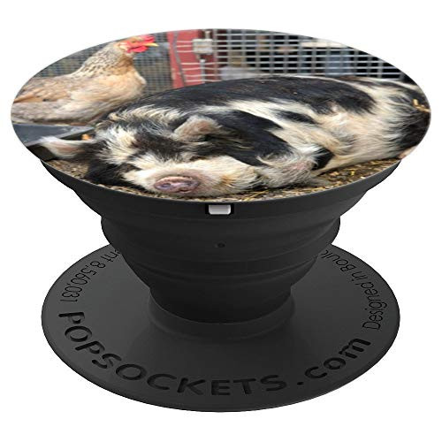 Pig and Chicken PopSockets Grip and Stand for Phones and Tablets