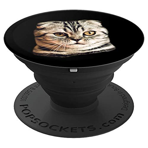 Scottish Fold Cat Face PopSockets Grip and Stand for Phones and Tablets Scottish Fold Cat Face PopSockets Grip and Stand for Phones and Tablets