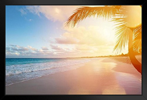 Beautiful Tropical Sany Beach Palm Trees Ocean Sunset Sunspots Dramtiic Artistic Photo Black Wood Framed Art Poster 20x14 Beautiful Tropical Sany Beach Palm Trees Ocean Sunset Sunspots Dramtiic Artistic Photo Black Wood Framed Art Poster 20x14