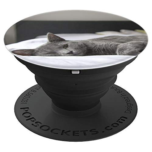 Beautiful Gray Cat Lying On Bed PopSockets Grip and Stand for Phones and Tablets