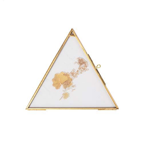 NCYP Medium Hanging Triangle Herbarium Brass Glass Frame for Pressed Flowers, Dried Flowers, Poster, Double Glass, Floating Frame Style, Glass Frame only