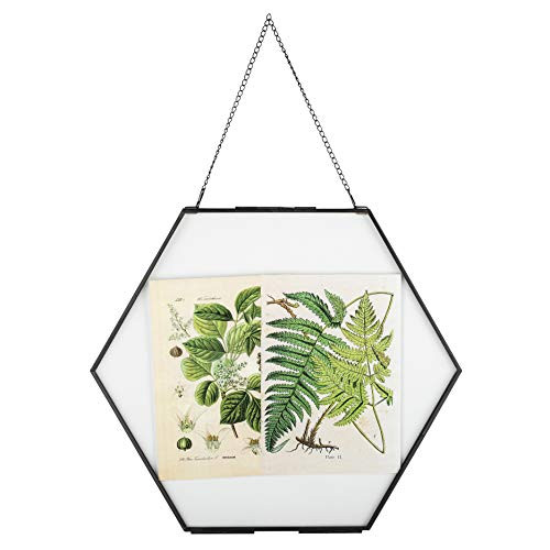 NCYP Large Hanging Black Hexagon Herbarium Brass Glass Frame for Pressed Flowers, Dried Flowers, Poster, Double Glass, Floating Frame Style, Glass Frame only