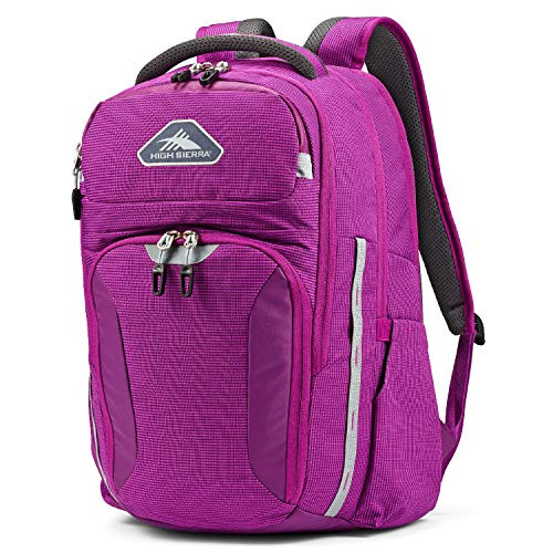 High Sierra Autry Water Resistant Backpack, Hyacinth/Ash, One Size