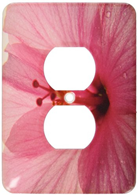 3dRose lsp_7826_6 Dewey Pink Hibiscus 2 Plug Outlet Cover Multicolor