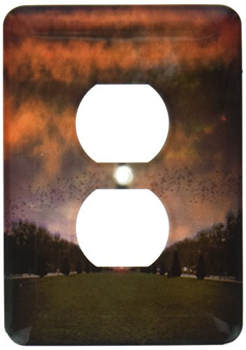 3dRose lsp_55928_6 Eiffel Tower Sunset Storm Birds Silhouette 2 Plug Outlet Cover,