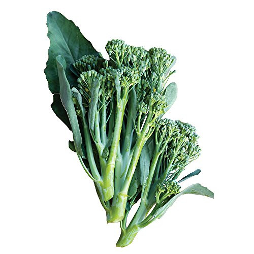 Burpee Apollo Hybrid Brokali Seeds 50 seeds