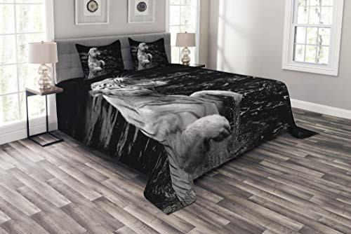 Ambesonne Safari Bedspread, White Tiger Wintertime Rare Animal Portrait Eyes Wildlife Environment, Decorative Quilted 3 Piece Coverlet Set with 2 Pillow Shams, Queen Size, Pale Grey