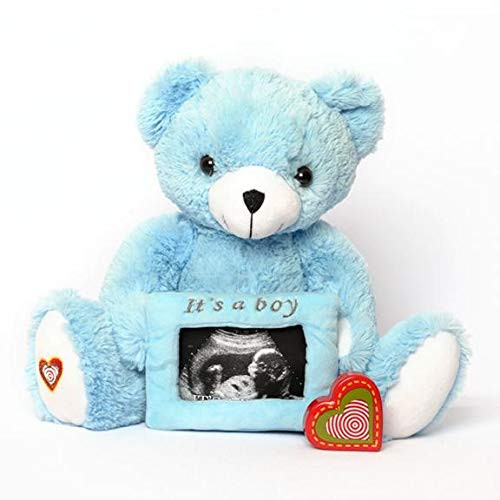 My Baby's Heartbeat Bear Recordable Stuffed Animals 20 sec Heart Voice Recorder for Ultrasounds and Sweet Messages Playback, Perfect Gender Reveal for Moms to Be, Blue Reveal Bear