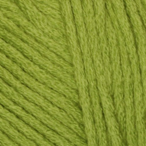 Berroco Seedling Comfort Chunky Yarn (5740)