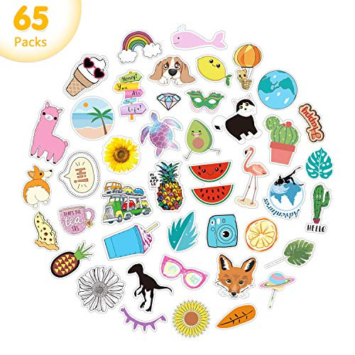 65PCS Colorful VSCO Girl Stickers for Hydroflasks, Cute Waterproof Stickers for Water Bottles Hydro Flask Laptop Skateboard, Vinyl Aesthetic Stickers for Girls Teens Kids and Boys, Vsco Girl Stuff