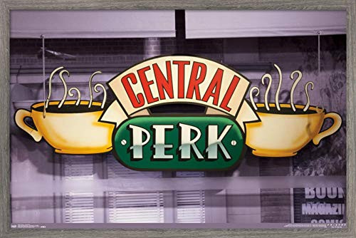 Trends International Friends - Central Perk, 14.725" x 22.375", Barnwood Framed Version